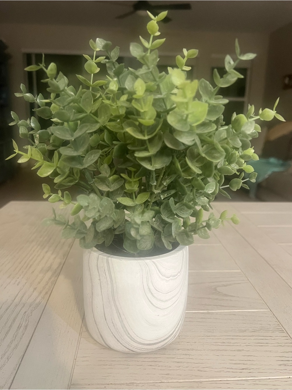 Artificial Eucalyptus Plant in Marble Pot